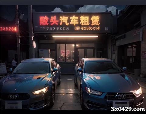 綏中酸頭汽車租賃 便捷出行，專業(yè)服務(wù)